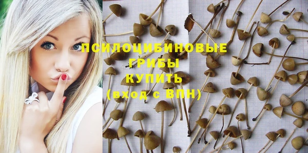а пвп мука Арсеньев