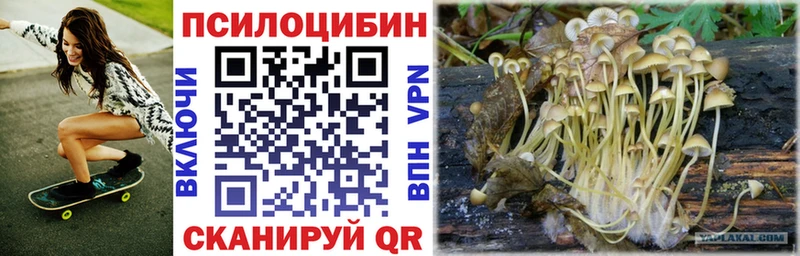 Псилоцибиновые грибы Cubensis  дарнет шоп  Бирюч 